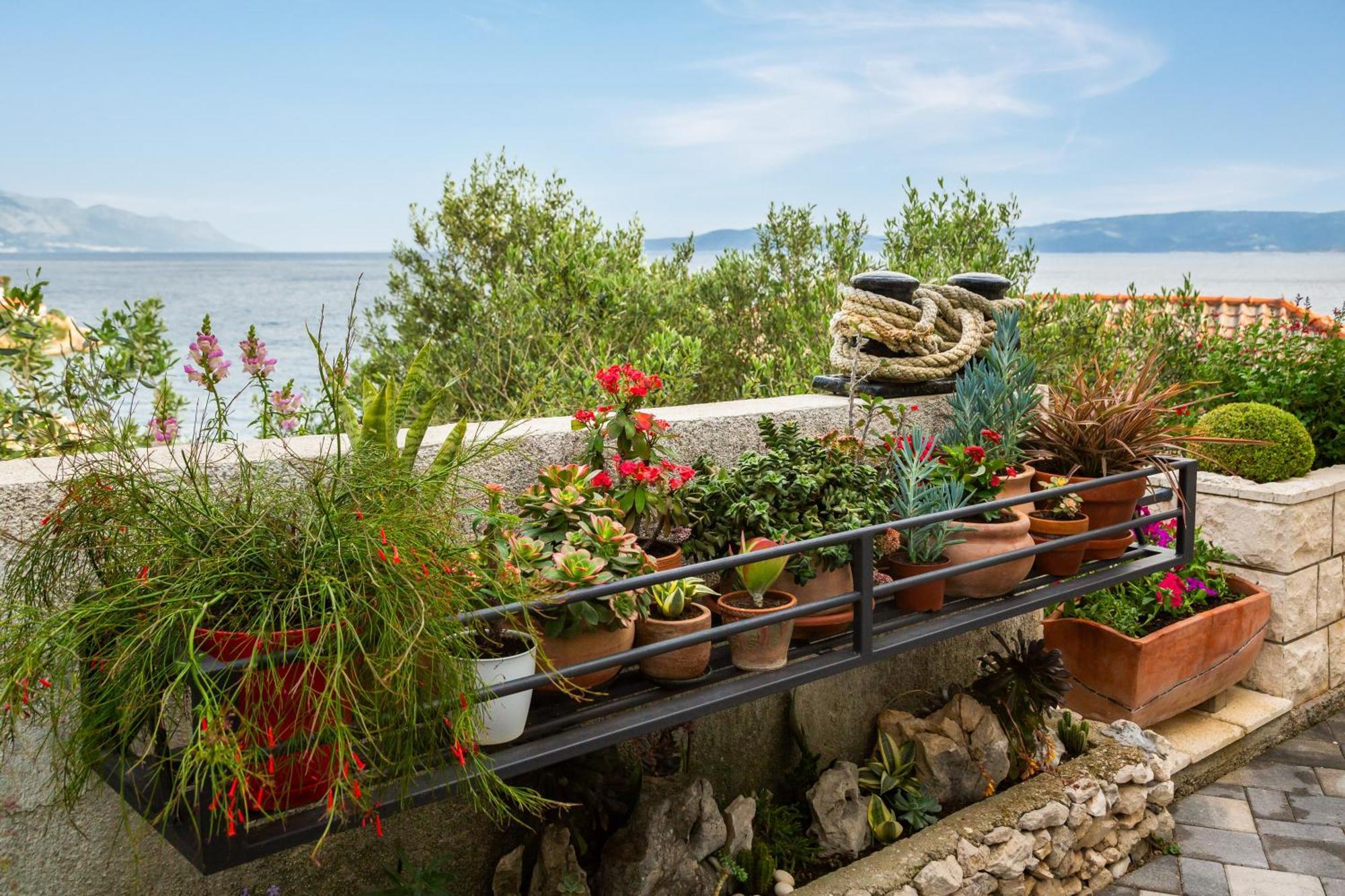 Seaside Apartment Kamelia Mimice Zewnętrze zdjęcie